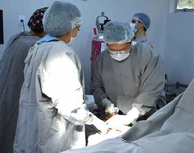 Em balanço, Estado diz que mantém cirurgias eletivas e que realizou mais de 16 mil procedimentos em 2024