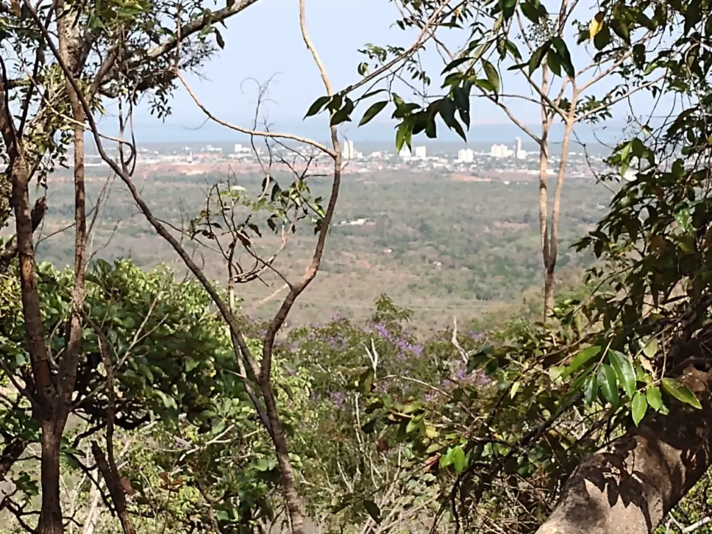 Palmas manteve boa qualidade do ar na faixa de classificação, com registro de 3,63 µg/m³ -Foto: Cleide Veloso-Governo do Tocantins
