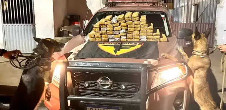 Cães farejadores encontraram cerca de 70 kg de maconha escondidos em malas. — Foto: PM/Divulgação