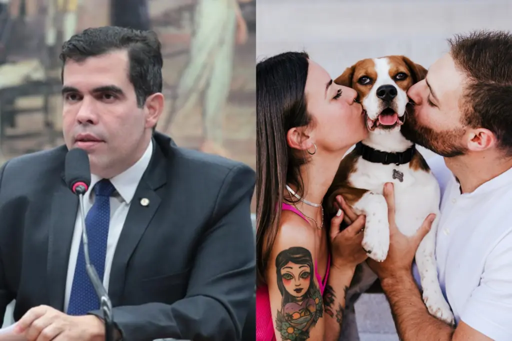 Guarda compartilhada de pets em divórcios avança com aprovação do relatório de Ayres