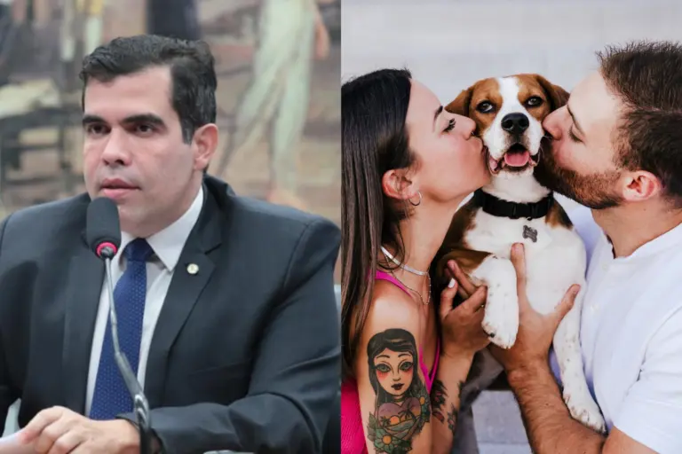 Guarda compartilhada de pets em divórcios avança com aprovação do relatório de Ayres