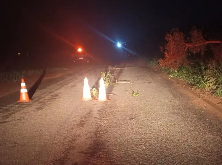 Motociclista perdeu o controle e caiu na Avenida do Comércio — Foto: Divulgação/PMTO