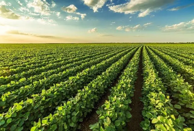 Polêmica no setor do Agro! Evento quer reunir mil produtores para discutir pautas estaduais; Duas entidades afirmam que não vão participar