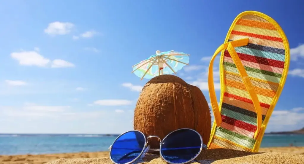 Confira cuidados para ter na estação mais quente do ano - Foto: Reprodução