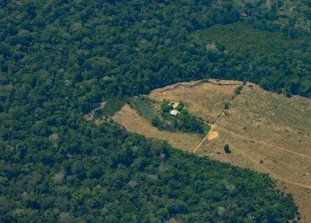 Amazônia tem 20 mil fazendas em áreas indígenas e de conservação