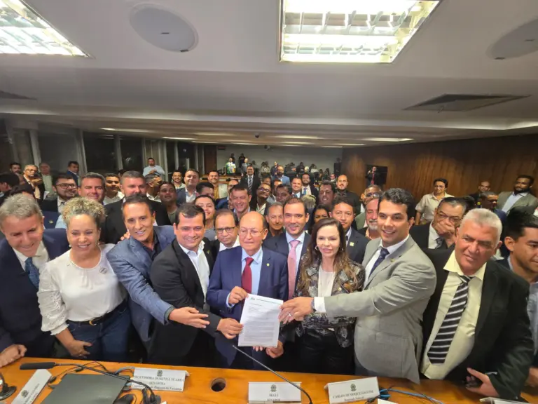 Bancada destinou quase R$ 560 milhões este ano para várias áreas; Professora Dorinha ressalta união para levar recursos
