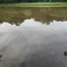 O óleo chegou ao lago do Parque Cesamar por meio do Ribeirão Brejo Comprido - Foto: Divulgação