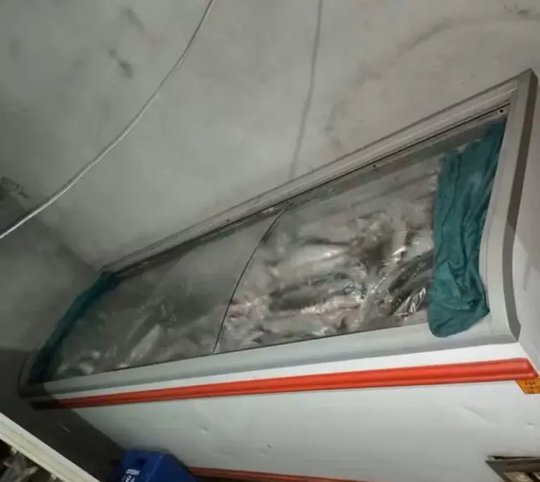 Freezer com pescados em Ipueiras — Foto: Divulgação/PM