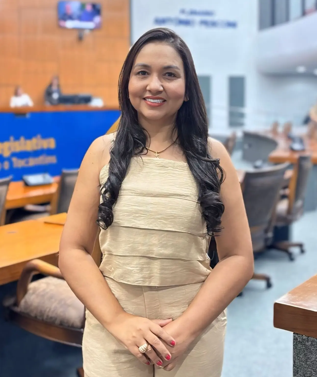 Requerimento de Vanda Monteiro solicita inclusão da progressão horizontal no novo PCCR da Educação e pagamento de insalubridade para merendeiras