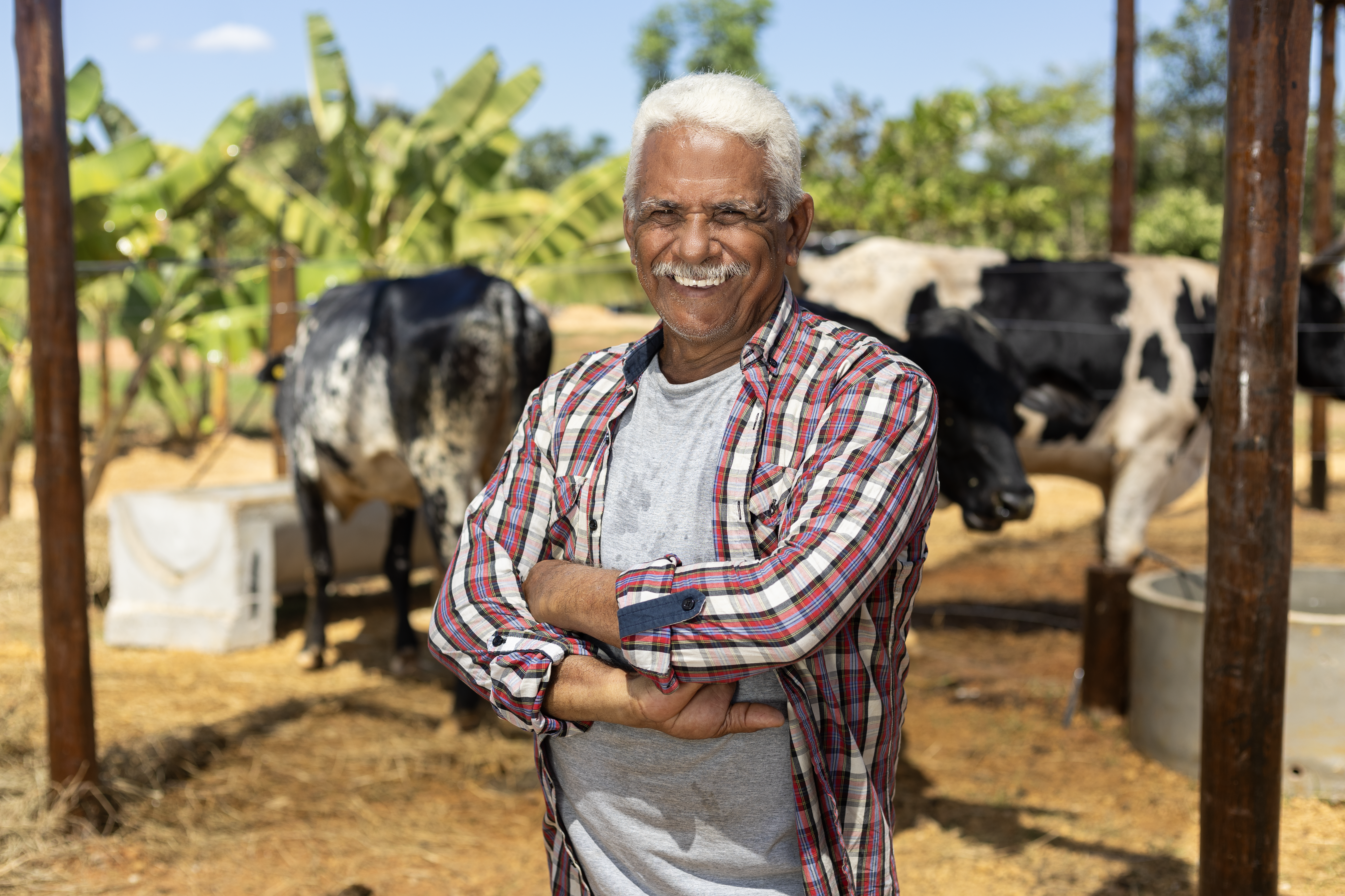 Inovações tecnológicas impulsionam o mercado agropecuário no Tocantins