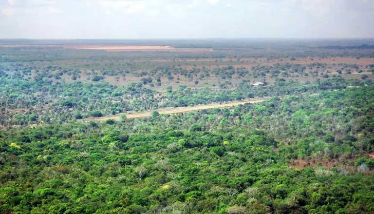 O Naturatins desempenha um papel fundamental na análise do CAR, sendo responsável pela verificação das informações declaradas e pela supervisão do cumprimento das normas ambientais - Foto: Semarh/Governo do Tocantins