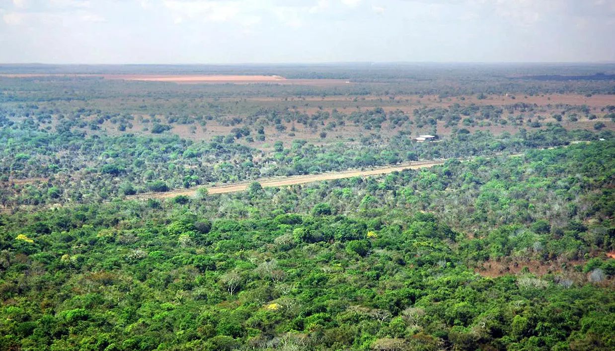 O Naturatins desempenha um papel fundamental na análise do CAR, sendo responsável pela verificação das informações declaradas e pela supervisão do cumprimento das normas ambientais - Foto: Semarh/Governo do Tocantins