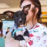 Palmas terá Feira de Adoção de Pets neste sábado