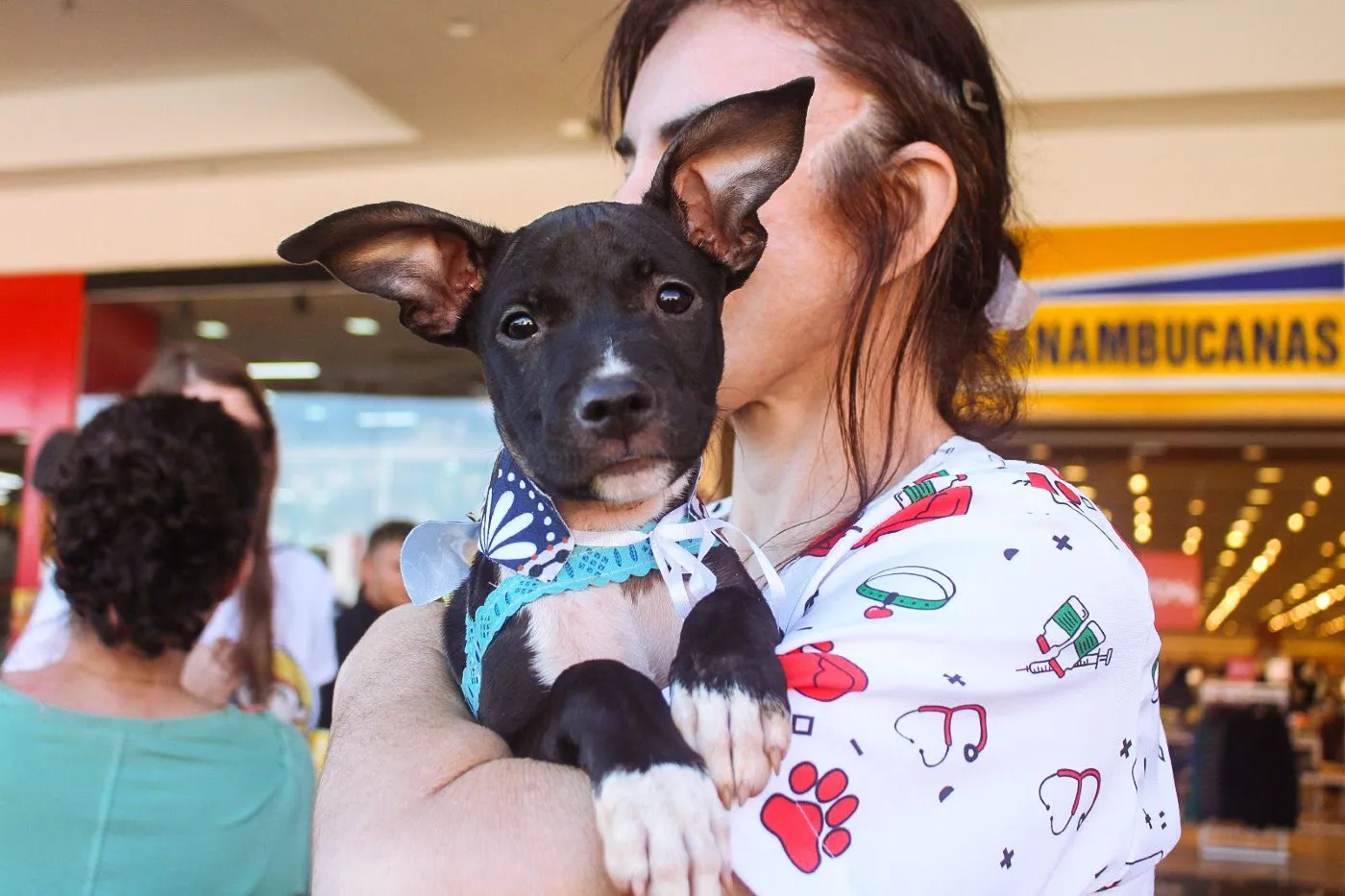 Palmas terá Feira de Adoção de Pets neste sábado