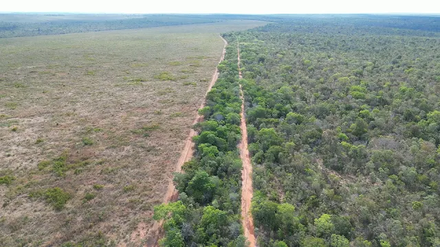 Manifesto público do Povo Apinajé contra desmatamentos em área reivindicada pela comunidade indígena