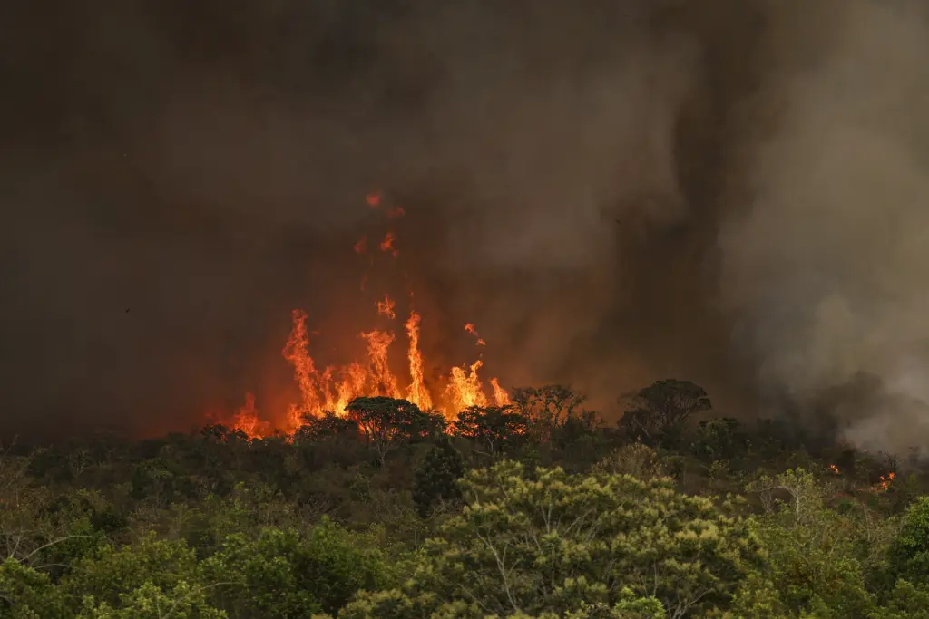O projeto foi apresentado durante a crise de incêndios florestais do último ano - Foto: Marcelo Camargo/Agência Brasil