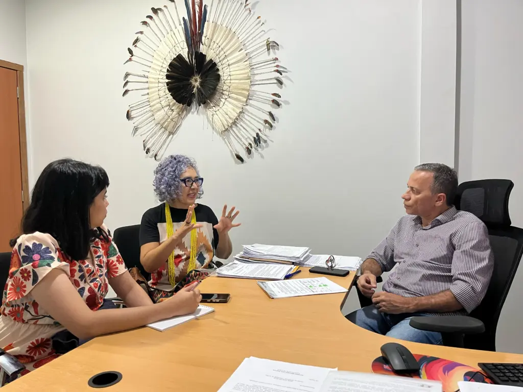  A pesquisa é fruto de uma parceria entre a Secult e a UFT e dará origem a um dossiê sobre essas manifestações da cultura popular local - Foto: Paulo Gualberto/Governo do Tocantins