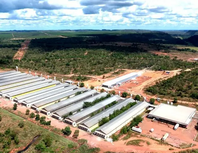 Planta industrial da empresa em Darcinópolis tem capacidade de produção de 3 milhões de ovos por dia - Crédito: Divulgação 