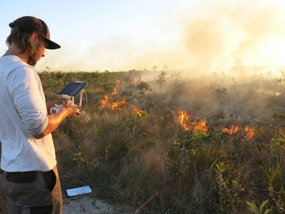 Vista da vegetação do Cerrado, um bioma adaptado ao fogo e essencial para a biodiversidade da região - Foto: Arquivo pessoal