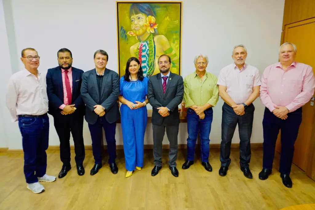 137ª reunião ordinária do CDE aprovou dois processos de incentivos fiscais para empresas que irão investir R$ 1,05 bilhão no estado, com previsão de gerar 229 empregos - Matheus Alcântara/Governo do Tocantins