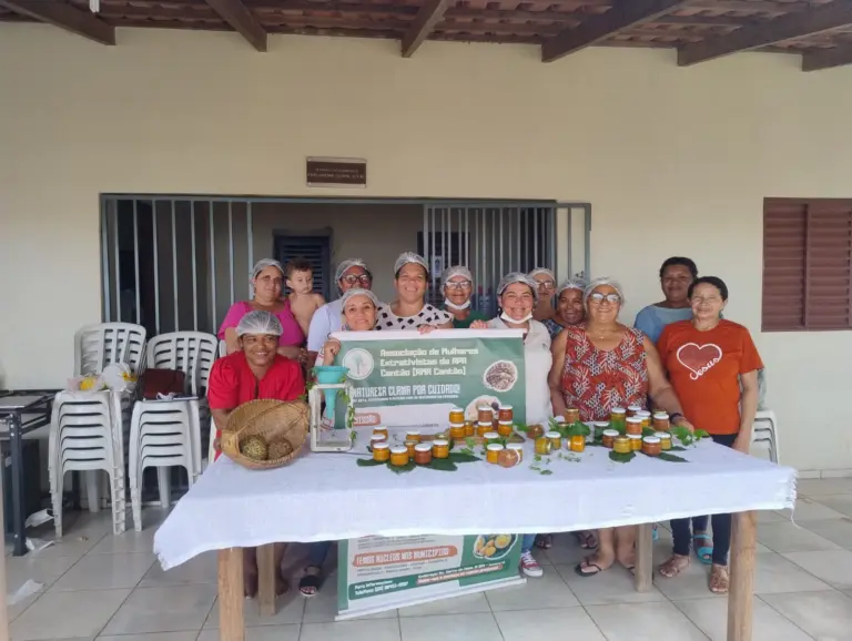 Mulheres extrativistas de Araguacema produzem geleias com frutos do Cerrado