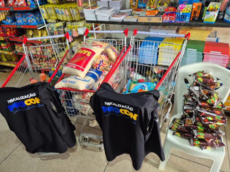 Mais de nove mil produtos são apreendidos no Tocantins - Foto: ASCOM/Procom Mais de nove mil produtos são apreendidos no Tocantins - Foto: ASCOM/Procom