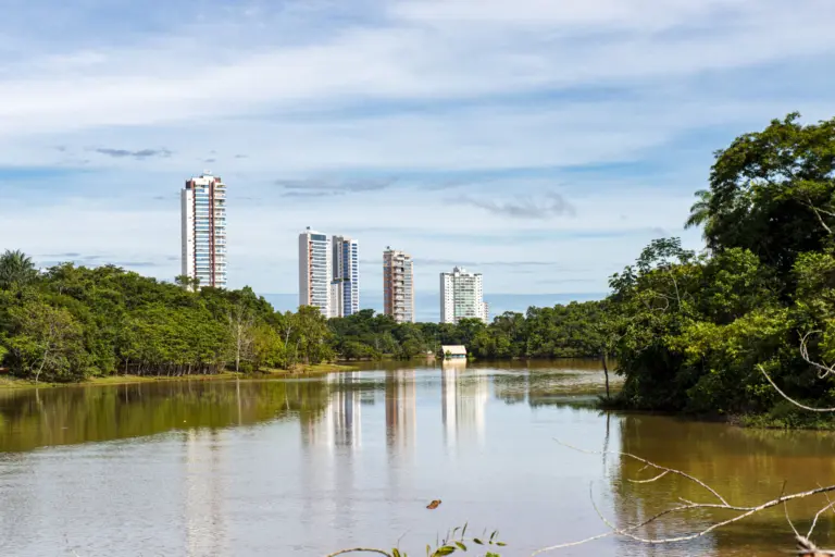 Macaco foi encontrado morto no Parque Cesamar, em Palmas — Foto: Secom Palmas