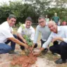 Cidade do TO tem primeiro sepultamento de lixão a céu aberto que dará lugar a bosque