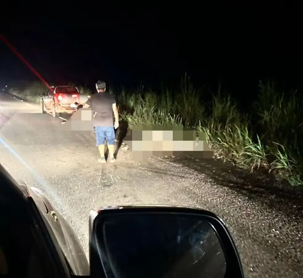 Animais estavam caídos na TO-070, na zona rural de Brejinho de Nazaré — Foto: Divulgação/Redes sociais