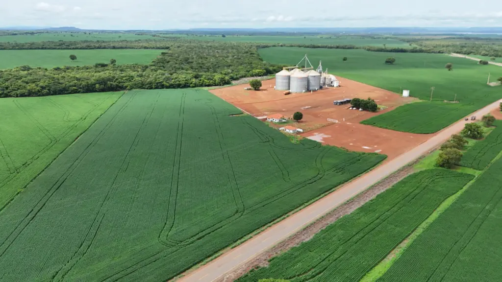 Porto Nacional é o maior exportador do estado - Foto: Altamir Moreira 