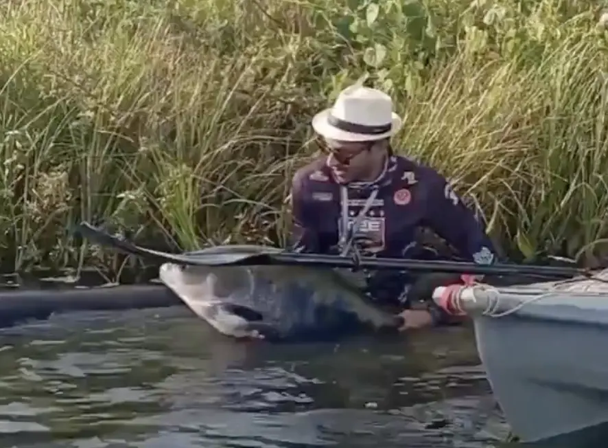 Tambaqui de 25 kg é capturado e devolvido por pescador durante torneio em Palmas; VÍDEO
