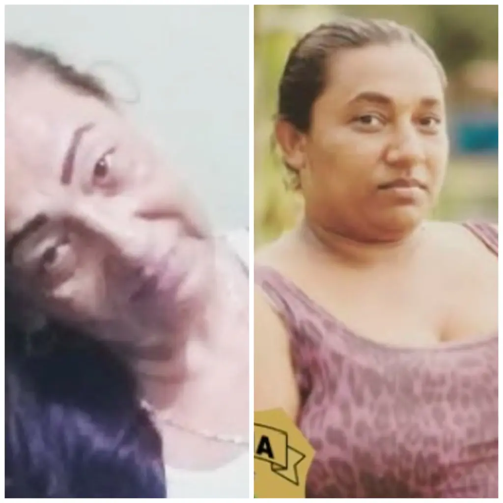 created by photogrid