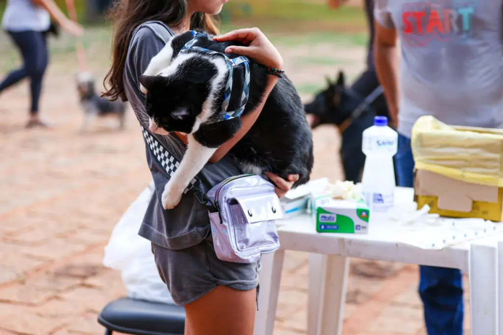 Gatos e cães devem ser vacinados contra a raiva – Foto Regiane Rocha Gatos e cães devem ser vacinados contra a raiva – Foto Regiane Rocha