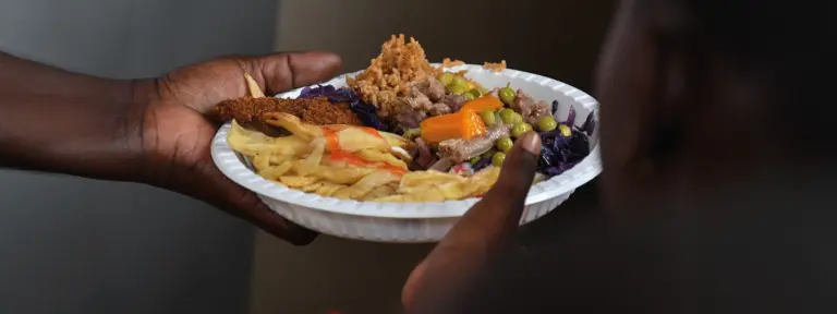 Quase um terço das famílias atendidas pelo CRAS apresenta insegurança alimentar em Palmas; Vereadores são cobrados