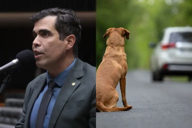 Foto: Bruno Spada/Câmara dos Deputados