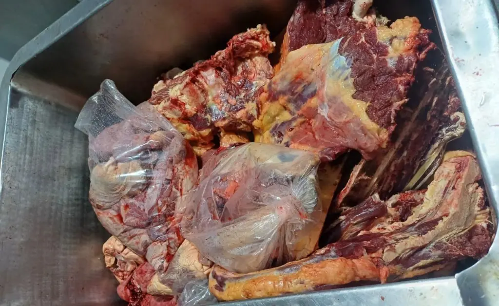 Mais de meia tonelada de carne clandestina e 27 mil ovos impróprios para consumo são apreendidos em Palmas 