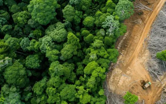 Coalizão Vozes do Tocantins alerta sobre riscos de PL da Devastação acelerar crise ambiental e conflitos hídricos no Estado 