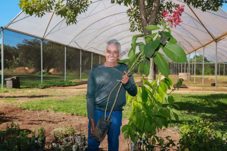 Palmas, 36 anos: o garimpeiro que trocou o ouro pelo verde e se transforma no jardineiro que ajudou a semear a capital