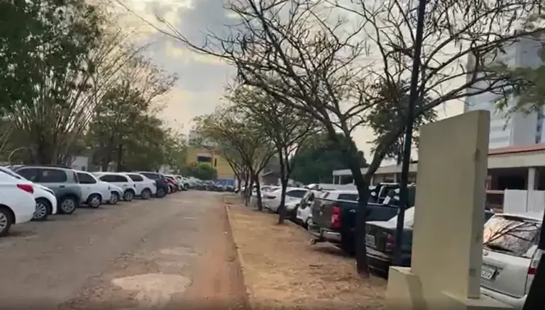 Árvores secas e grama seca no jardim do HGP chamaram a atenção de investigadores — Foto: PF/Divulgação