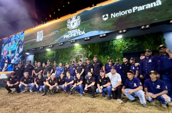 MAIOR FATURAMENTO DA HISTÓRIA: leilão da Terra Prometida de Henrique e Juliano e do Nelore Paranã ultrapassa R$ 130 milhões