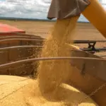 Tocantins consolida for&ccedil;a no MATOPIBA e j&aacute; &eacute; o segundo maior produtor de soja da regi&atilde;o