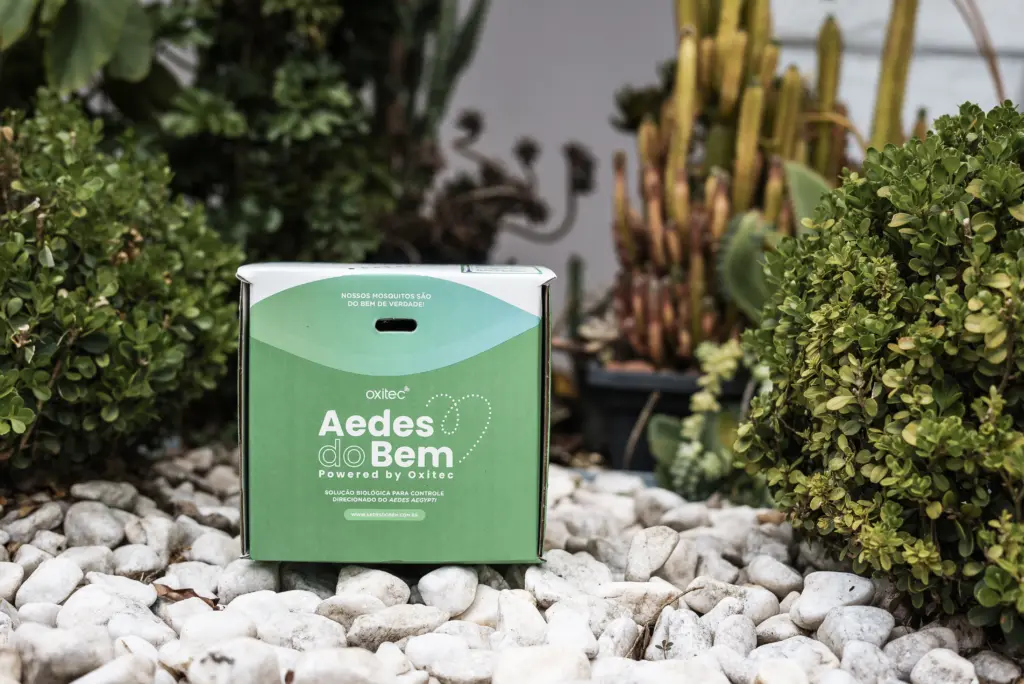 Aedes do Bem - Foto: Oxictec