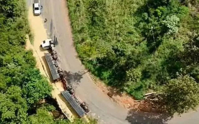 Grãos de soja ficaram espalhados na pista da TO-030 — Foto: Reprodução/TV Anhanguera