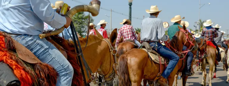 Órgão cobra medidas para prevenir maus-tratos a animais durante Cavalgada em Araguaína