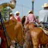 Órgão cobra medidas para prevenir maus-tratos a animais durante Cavalgada em Araguaína