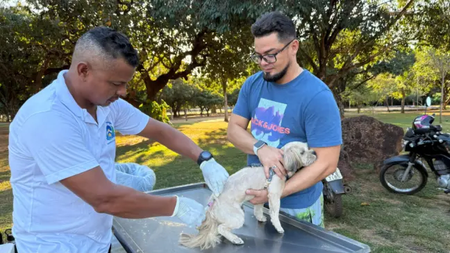 Vacinação antirrábica para cães e gatos acontece neste fim de semana em Palmas e Taquaruçu; Veja locais 