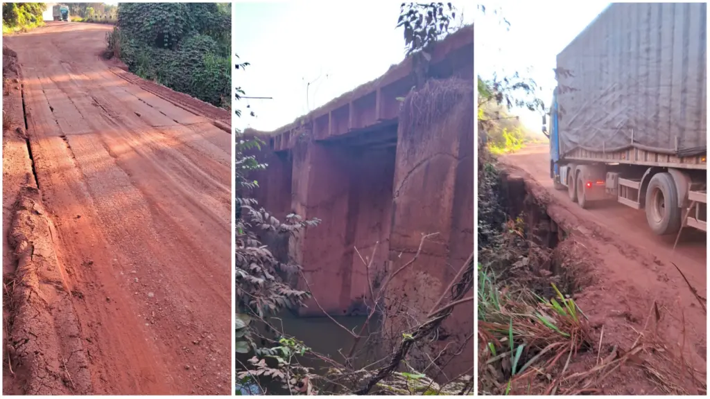 Trecho da BR-010 no norte do TO acumula vítimas e população denuncia situação precária