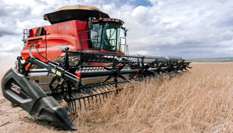 Produção agrícola do Tocantins - Keven Lopes/Governo do Tocantins