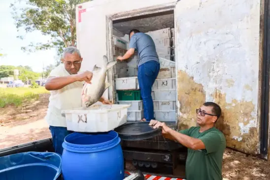 Peixes foram doados para entidades que atendem pessoas carentes — Foto: Francisco Barros/Secom Palmas