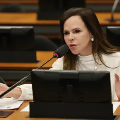 Com relatoria de Dorinha, CMO aprova crédito de R$ 520 milhões para emergências como a de Aguiarnópolis